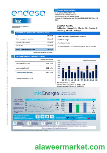 Spain Endesa luz business utility bill template in Word and PDF formats